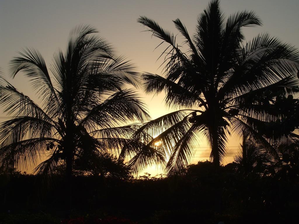 Flamingo Villas Resort Malindi Exteriör bild